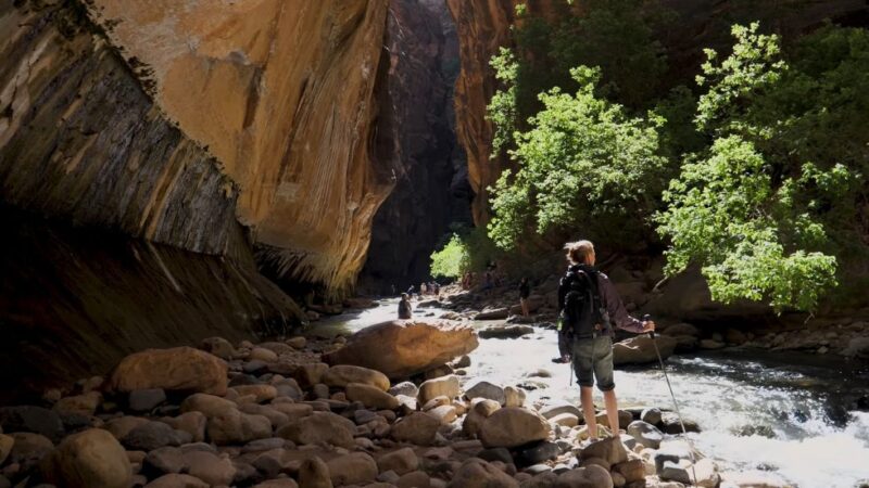 Hiker with trekking pole walking along the Virgin River inside The Narrows canyon with sunlight and shadows