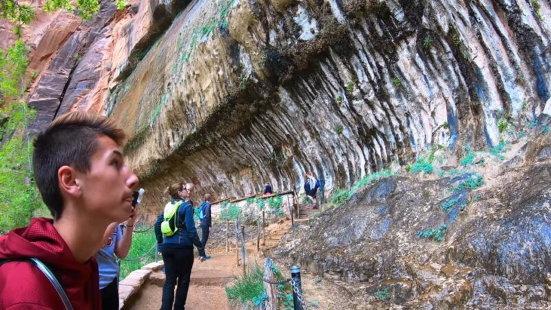 Hikers observing dripping water and lush greenery along the Weeping Rock trail in Zion during spring