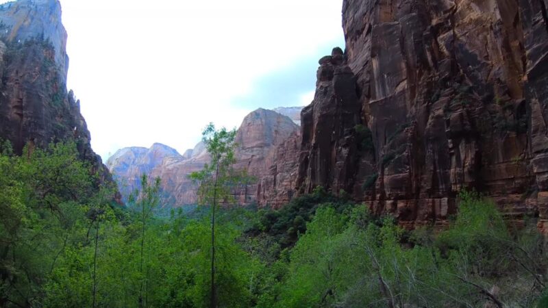 Panoramic view of towering red rock cliffs and green trees in Zion National Park