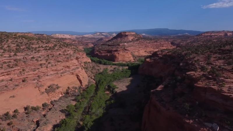 Echoing sandstone walls and narrow passage inside Burr Trail’s Singing Slot Canyon