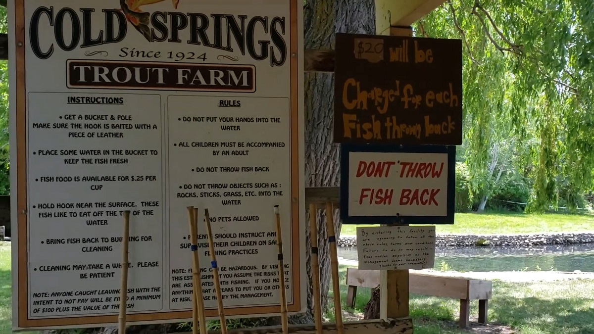 A fishing experience at Cold Springs Trout Farm, with clear rules for visitors