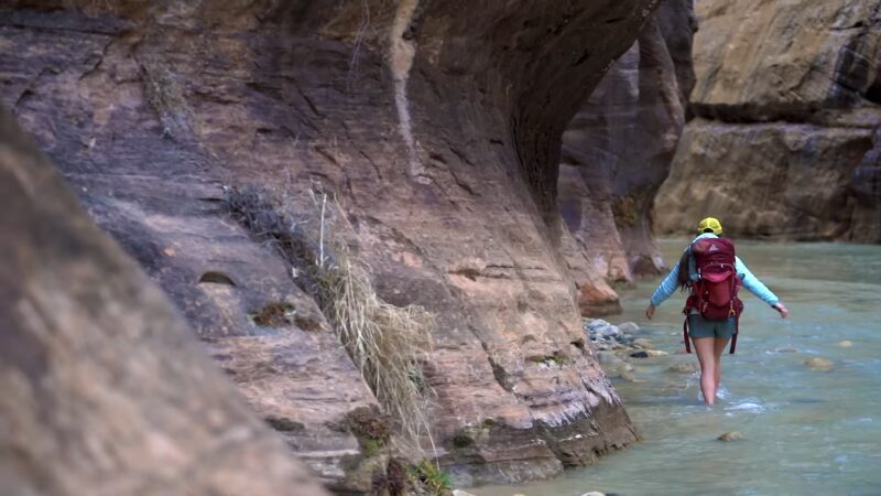 Discover the Virgin River & the Narrows