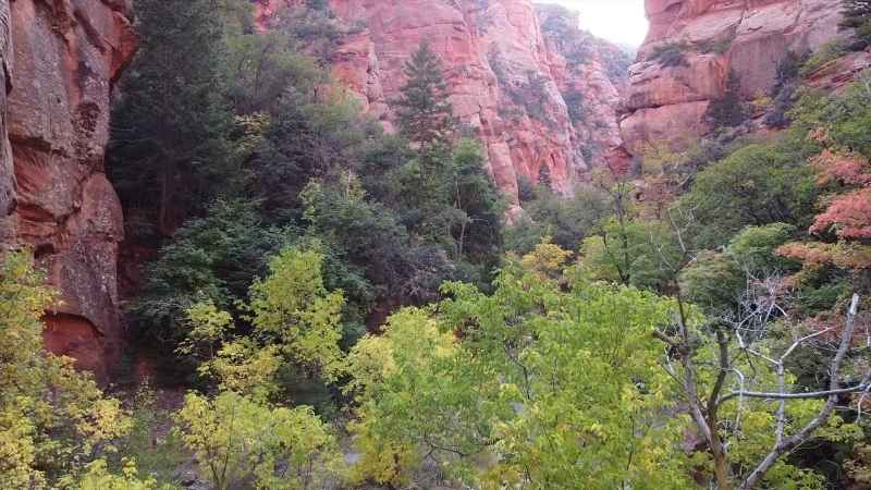 Lush greenery and towering cliffs inside Spring Creek Canyon