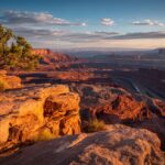 A scenic overlook at Dead Horse Point State Park showing deep red canyons and the Colorado River winding through, with a lone tree on a rocky cliff