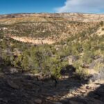 Escalante Petrified Forest landscape with rugged desert hills, scattered trees, and rocky terrain