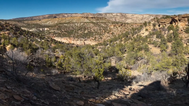 Escalante Petrified Forest – The Prehistoric Park No One Talks About