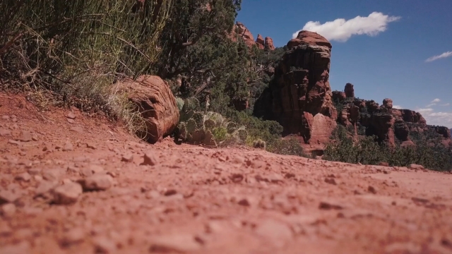 A red dirt trail in Fay Canyon with desert plants and towering red rock formations in the background