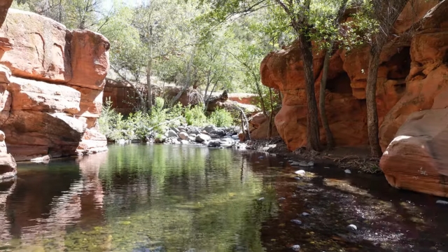 A calm creek flows between red rock walls and shaded trees in Sedona