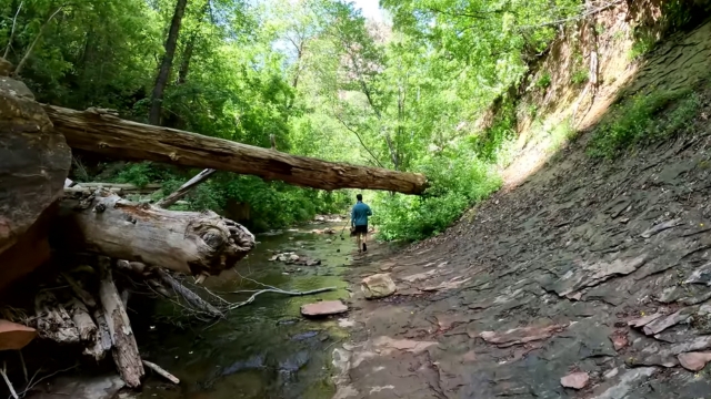A hiker walks along the shallow creek at West Fork of Oak Creek