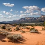Coral Pink Sand Dunes State Park – Sandboarding, Camping & Scenic Views