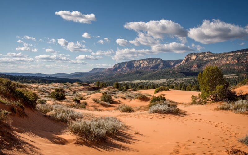 Coral Pink Sand Dunes State Park – Sandboarding, Camping & Scenic Views