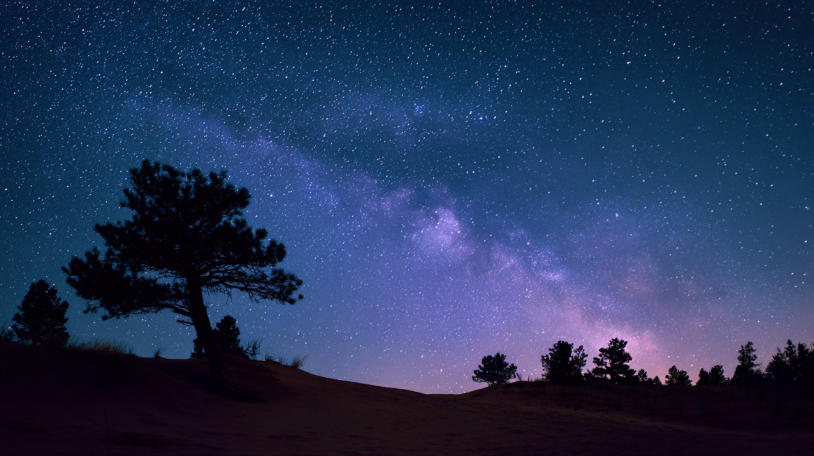 Night sky filled with stars and the Milky Way above silhouetted trees and sand dunes