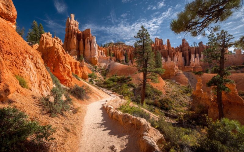 Queens Garden Trail Bryce Canyon – Route Map, Difficulty, Trail Length, Best Time To Hike, And What To Expect
