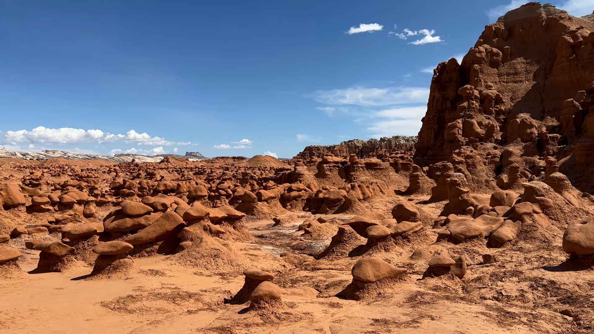 Wide view of Goblin Valley with hundreds of rounded hoodoo rock formations under a bright blue sky