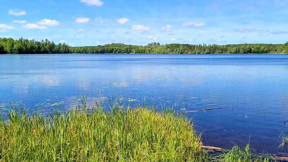 Calm blue lake surrounded by forest and grassy shoreline in Savanna Portage State Park