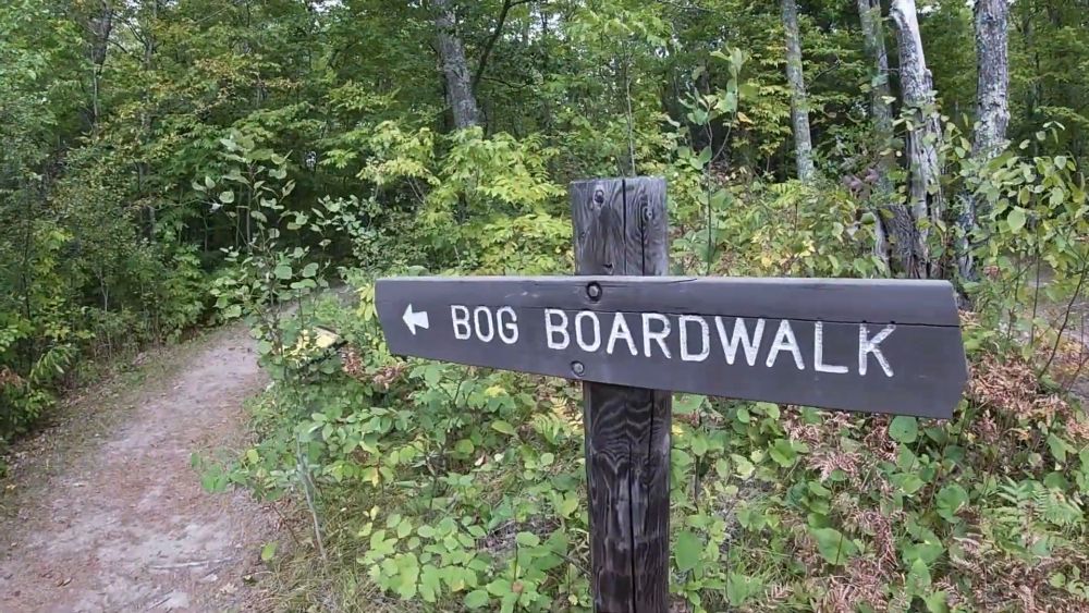 Wooden Bog Boardwalk trail sign along a forest path in Savanna Portage State Park