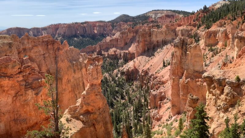 View of hoodoos and steep canyon cliffs along Bryce Canyon Scenic Drive Route 63